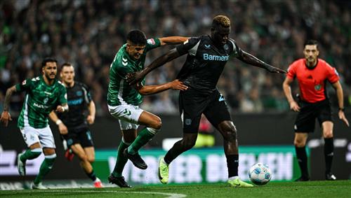 Bet in Gambia: Complete Guide and Tips